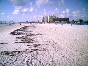 Clearwater pláž, Florida
